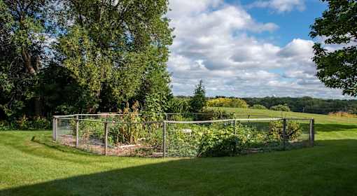 Outdoor community garden with wire fence and overflowing plant life
