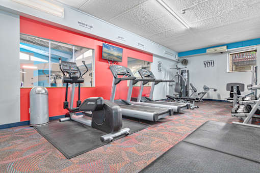 A gym with treadmills, exercise bikes, and other equipment.