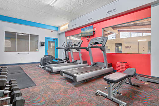 A gym with treadmills, weights and exercise equipment.