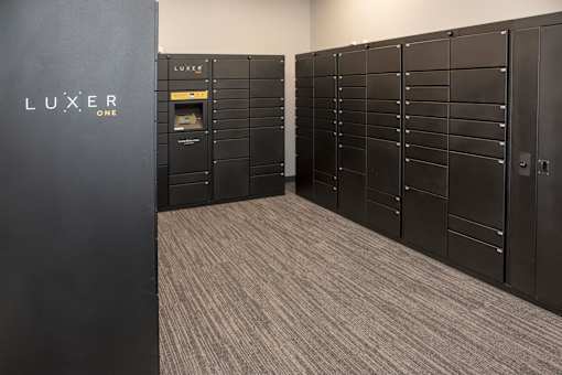 Luxor One Locker Doors