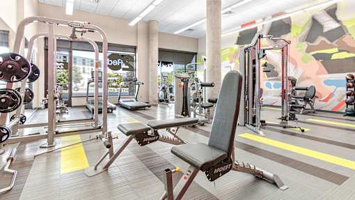 a gym with weights and cardio equipment in a building with a mural