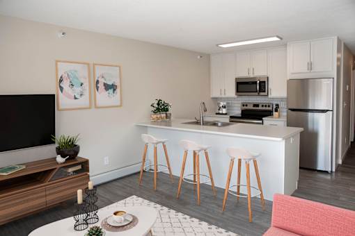 Studio unit with open concept kitchen and living area.