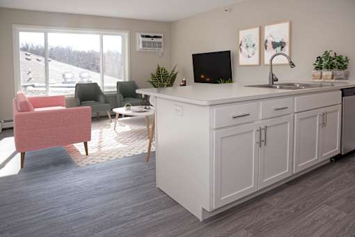 View from the kitchen of a studio unit leading into the living area.