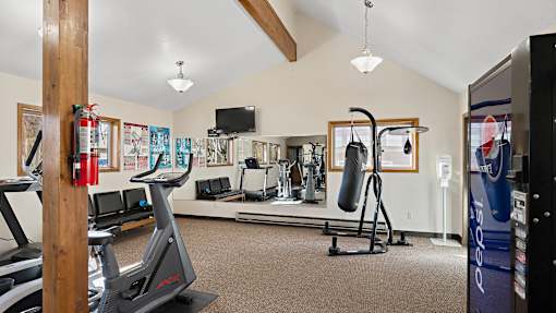the gym has plenty of cardio equipment and a flat screen tv