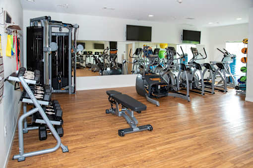 Fitness Center with Cardio and Strength Equipment