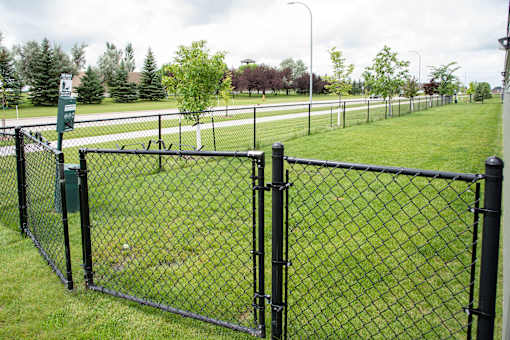 Gated Dog Park