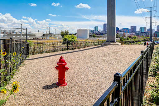 Dog Park with ample running space and a fire hydrant.