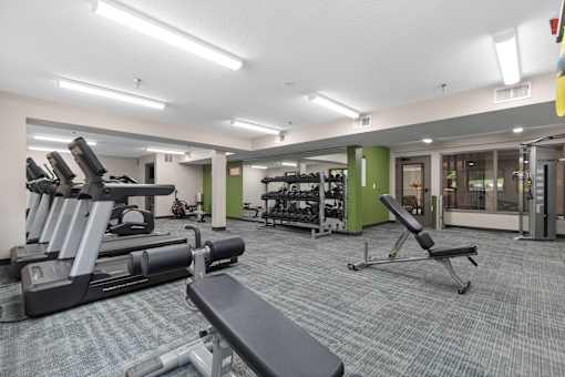 A gym with a variety of equipment including treadmills, weights, and benches.
