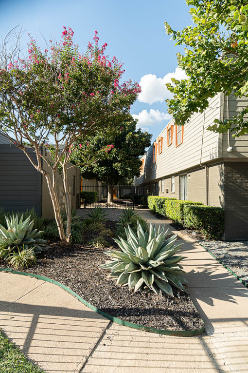 a courtyard with trees and plants in front of a building at La Bella Apartments, Fort Worth, TX