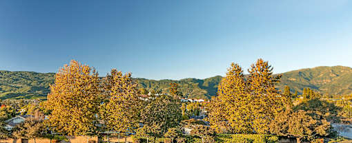 A landscape with trees and houses in the distance.