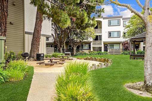 our apartments have a large yard with picnic tables and grass