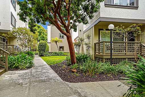 a sidewalk in front of an apartment building with a tree