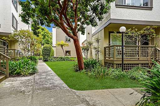 a yard with a tree in front of an apartment building