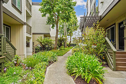 a walkway between two apartment buildings with plants and trees