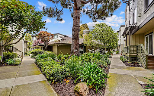 a sidewalk with trees and plants in front of a building