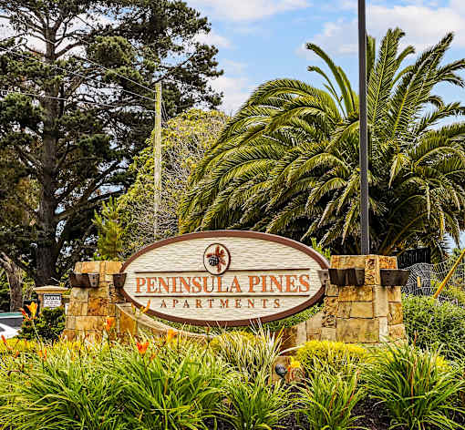 a sign pines apartments in front of palm trees