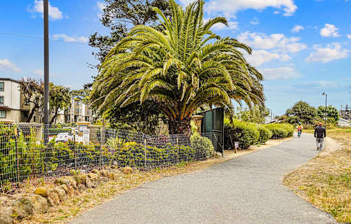 people walking down a road in front of palm trees