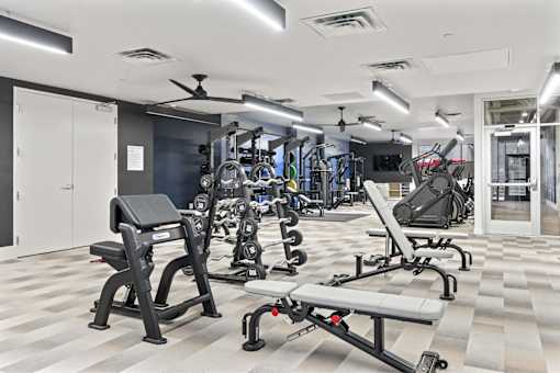 A gym with a variety of equipment including a rowing machine.