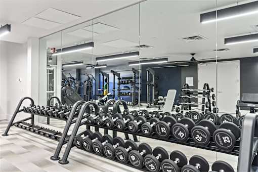 A gym with a row of dumbbells on a rack.