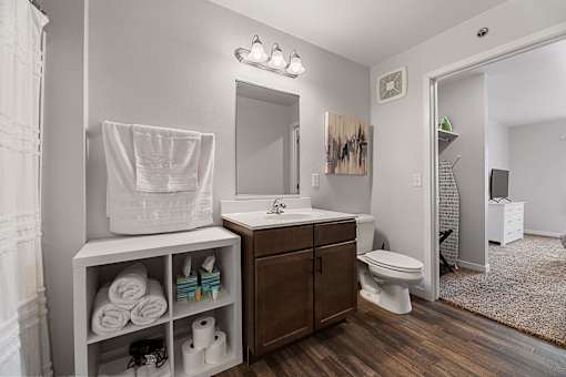 a bathroom with a sink and a toilet and a mirror at Red Rock Apartments, Rapid City, 57702