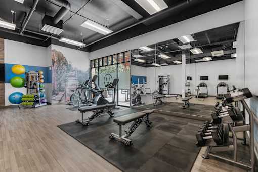 a gym with treadmills and other exercise equipment and a mural on the wall at City View St. George Apartments, St George, UT