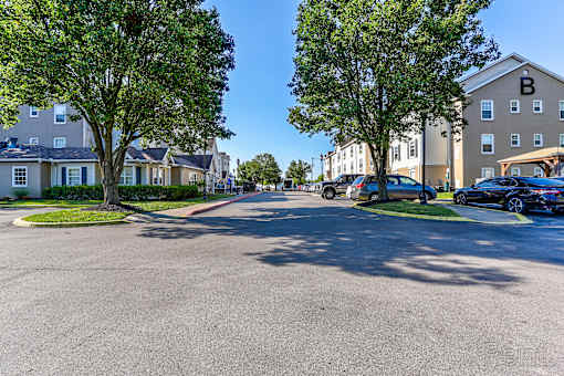 A sunny day at a residential street with cars parked on the side.