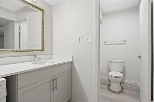 a bathroom with a toilet and a sink and a mirror at AVIA Lofts on Liberty Ridge, Jacksonville, FL, 32256