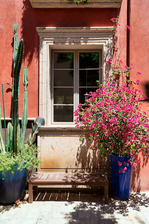Bench with Potted Plants at Bautista Apartments, Arizona