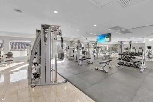 a gym with weights and cardio machines and a tv on the wall