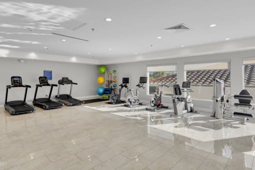 a gym with treadmills and other exercise equipment