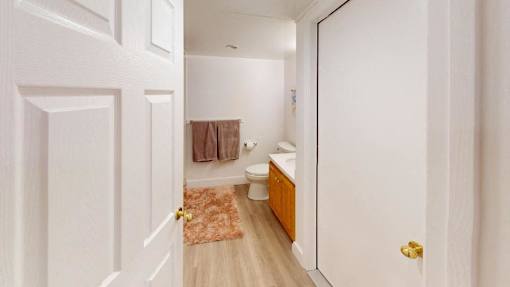 A bathroom with a toilet, sink, and a rug on the floor.