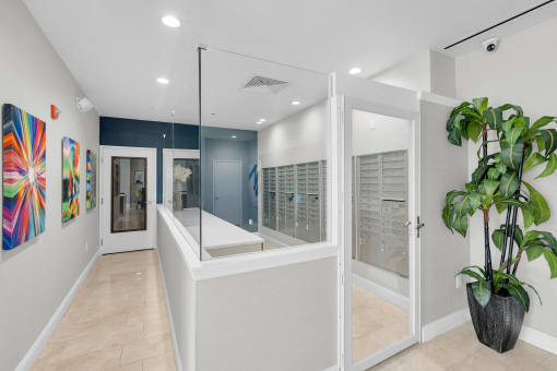 a long white room with a large mirror and a plant