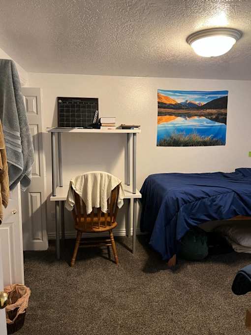 A room with a bed, desk, chair, and a painting on the wall.