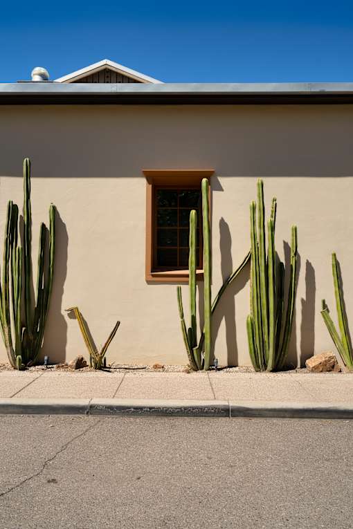 Cactus plants at Bautista Apartments, Arizona