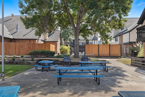 our picnic tables are set up in our back yard with benches and trees
