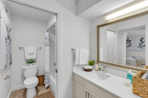 a bathroom with a mirror and a toilet and a sink at AVIA Lofts on Liberty Ridge, Jacksonville, FL, 32256