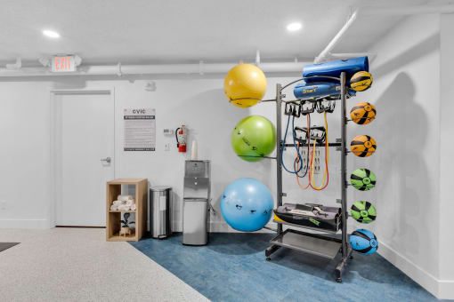 a fitness room with weights and balls and a cart at AVIA Lofts on Liberty Ridge, Jacksonville, FL, 32256