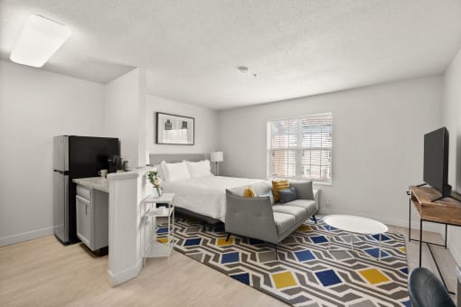 a studio apartment with a bed and a couch and a tv