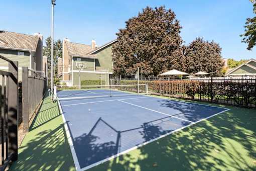 A tennis court surrounded by a fence and trees.