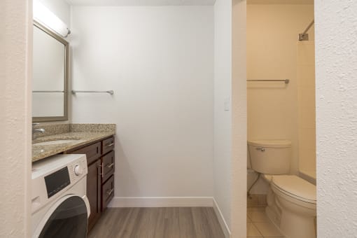 a bathroom with a sink and a toilet