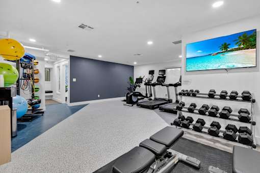 the gym with weights and cardio equipment at AVIA Lofts on Liberty Ridge, Florida, 32256