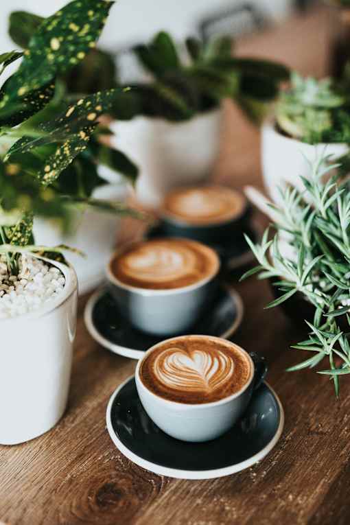Three cups of coffee with latte art on a wooden table surrounded by green plants.