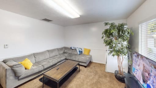 2x1 - Shared Room Main Floor