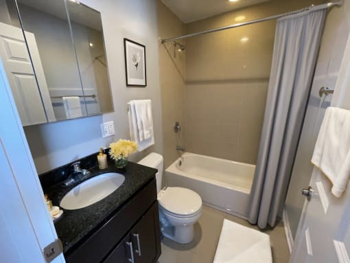 Uptown Regency Bathroom
