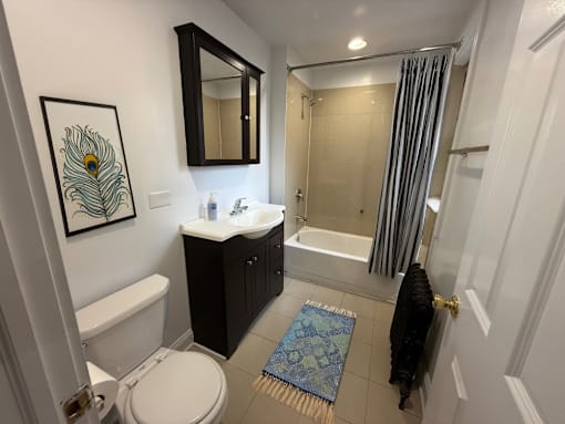 The Renaissance Bathroom