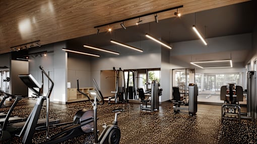 A gym with treadmills, weights, and exercise machines.