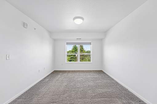 A room with a carpeted floor and a window showing a green landscape.
