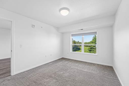 A room with a carpeted floor and a window showing a green landscape.