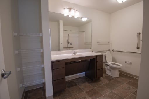 a bathroom with a large mirror and a sink and a toilet