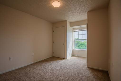 A room with a carpeted floor and a window with a view of trees outside.